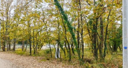 Trans-en-Provence Terrain à bâtir - 2449565-9911annonce320260306hxMvf.jpeg Maisons Open