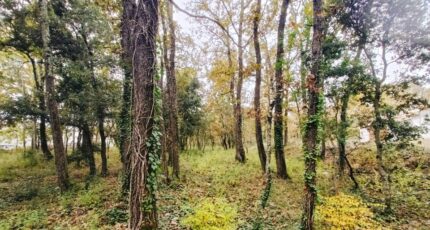 Trans-en-Provence Terrain à bâtir - 2449565-9911annonce420260306EnI72.jpeg Maisons Open