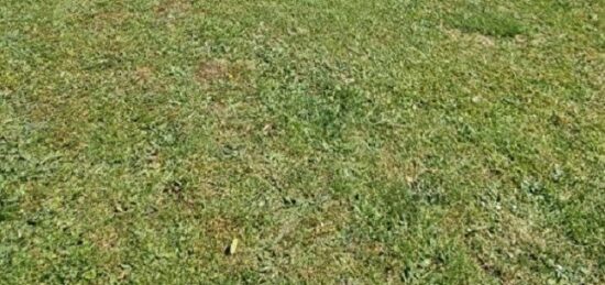 Terrain à bâtir à Bernay-Vilbert, Île-de-France