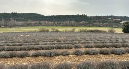 Roumoules Terrain à bâtir - 2449128-11797annonce2202603062IXqs.jpeg Maisons Open