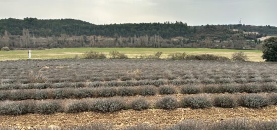 Terrain à bâtir à , Alpes-de-Haute-Provence