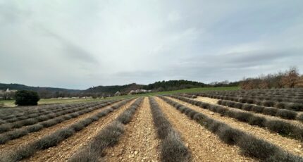 Roumoules Terrain à bâtir - 2449208-11797annonce220260306U6yQS.jpeg Maisons Open