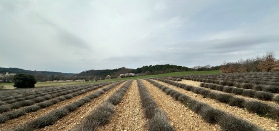 Terrain à bâtir à , Alpes-de-Haute-Provence