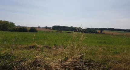 Reuilly Terrain à bâtir - 2449840-9835annonce1202603068B4fn.jpeg Maisons Open