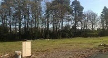 Pissos Terrain à bâtir - 2450026-3127annonce12024031183dfa.jpeg Maisons Open