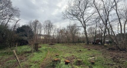 Saint-Selve Terrain à bâtir - 2450079-11689annonce1202602243fovk.jpeg Maisons Open