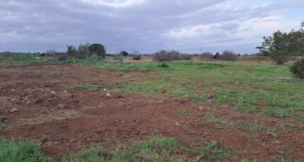 Fos-sur-Mer Terrain à bâtir - 2450208-11041annonce220260307WeTPN.jpeg Maisons Open