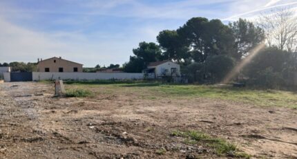 La Fare-les-Oliviers Terrain à bâtir - 2418015-11680annonce12026020440h2l.jpeg Maisons Open