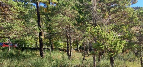 Terrain à bâtir à Levens, Provence-Alpes-Côte d'Azur