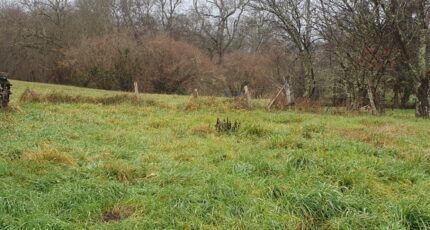 Salignac Terrain à bâtir - 2423989-11015annonce120260210uuCCH.jpeg Maisons Open