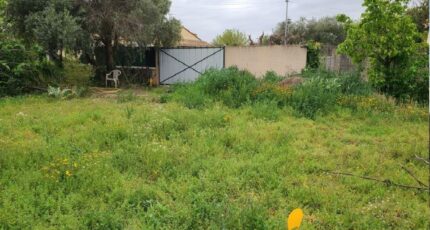 Canet Terrain à bâtir - 2380375-10986annonce1202509158hQfd.jpeg Maisons Open