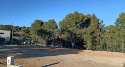 Lézignan-Corbières Terrain à bâtir - 2380407-10986annonce120250911HfPD1.jpeg Maisons Open