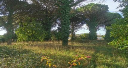 Langon Terrain à bâtir - 2450531-9573annonce120260309NANCZ.jpeg Maisons Open