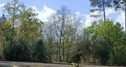 La Brède Terrain à bâtir - 2450515-9575annonce120250514utpsb.jpeg Maisons Open