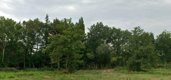 Terrain à bâtir à , Gironde