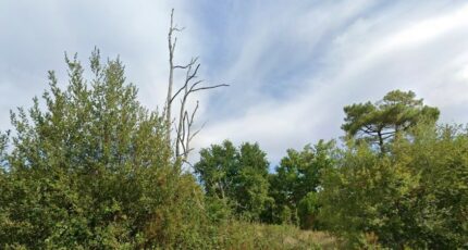 Arsac Terrain à bâtir - 2450519-9575annonce220260112S3T7U.jpeg Maisons Open