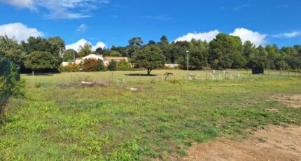 Vinon-sur-Verdon Terrain à bâtir - 2384771-6932annonce120260107FVMOP.jpeg Maisons Open