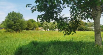 Roaillan Terrain à bâtir - 2450600-9573annonce120260309AdPiF.jpeg Maisons Open