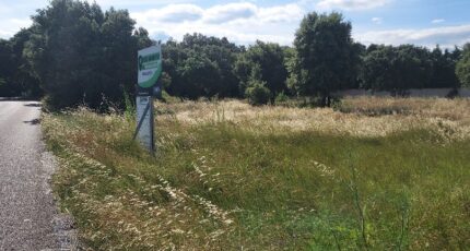 Connaux Terrain à bâtir - 2359452-695annonce420251205Jyiv0.jpeg Maisons Open