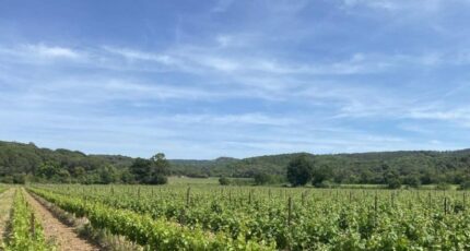 Lézignan-Corbières Terrain à bâtir - 2450781-10986annonce120251106XH6UO.jpeg Maisons Open