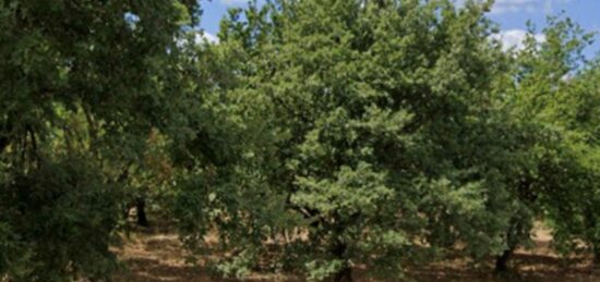 Terrain à bâtir à Saint-Donat-sur-l'Herbasse, Auvergne-Rhône-Alpes