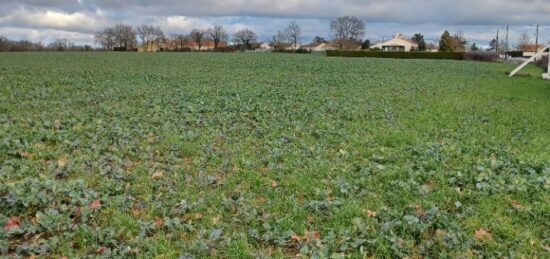 Terrain à bâtir à La Garnache, Pays de la Loire