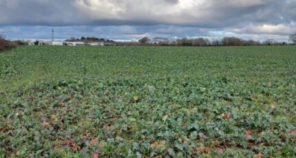 La Garnache Terrain à bâtir - 2450728-11728annonce3202603093mmQl.jpeg Maisons Open