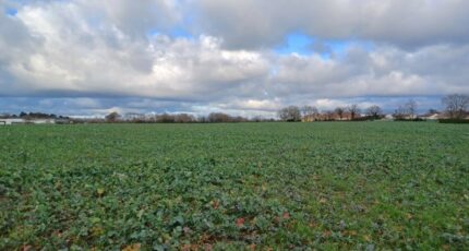 La Garnache Terrain à bâtir - 2450728-11728annonce520260309y0nJQ.jpeg Maisons Open