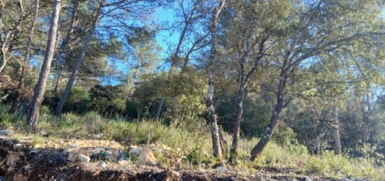 Terrain à bâtir à , Var