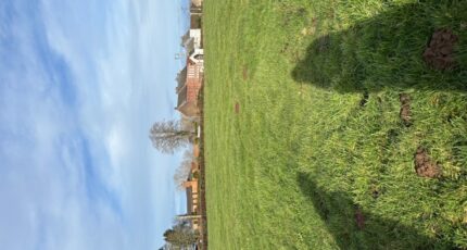 Vieux-Reng Terrain à bâtir - 2449667-11021annonce120260306TCTI6.jpeg Maisons Open