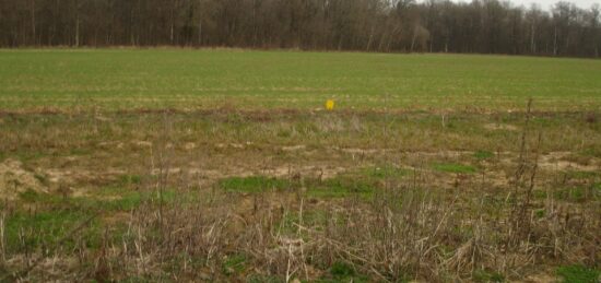 Terrain à bâtir à Bazoches-lès-Bray, Île-de-France