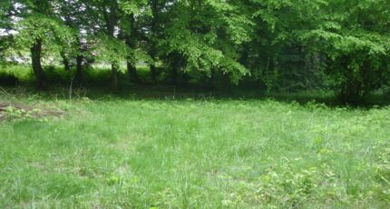 Les Ormes-sur-Voulzie Terrain à bâtir - 2388732-4353annonce120260112MXzqX.jpeg Maisons Open