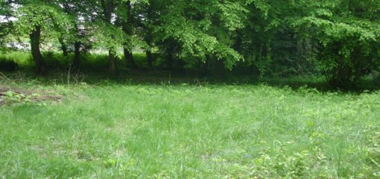 Terrain à bâtir à Les Ormes-sur-Voulzie, Île-de-France