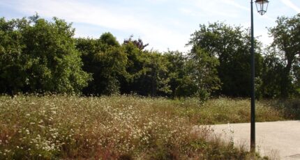 Rozay-en-Brie Terrain à bâtir - 2388747-4353annonce120260112iTBM1.jpeg Maisons Open