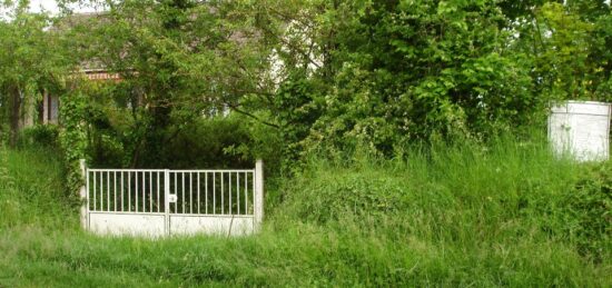 Terrain à bâtir à Avon, Île-de-France