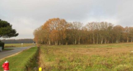 Gretz-Armainvilliers Terrain à bâtir - 2389508-4353annonce220260112ztWGn.jpeg Maisons Open