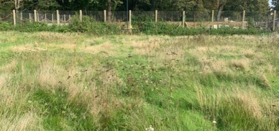 Terrain à bâtir à Saintry-sur-Seine, Île-de-France