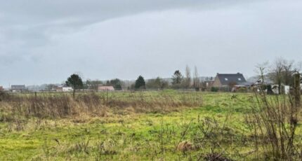Marchiennes-Campagne Terrain à bâtir - 2347036-11632annonce120251123K7Hrq.jpeg Maisons Open
