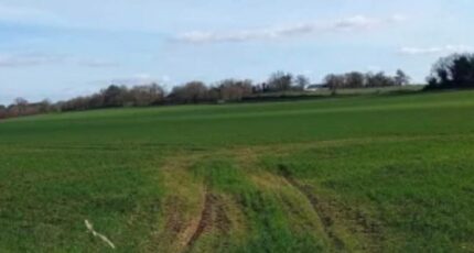 Montigny-en-Ostrevent Terrain à bâtir - 2382927-10617annonce120260106Bxgnh.jpeg Maisons Open