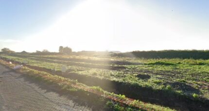 Harnes Terrain à bâtir - 2379196-6130annonce120251231Hmxdn.jpeg Maisons Open