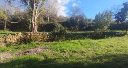 Salavas Terrain à bâtir - 2451277-11001annonce220260309XpbVN.jpeg Maisons Open