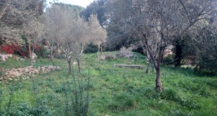 Camps-la-Source Terrain à bâtir - 2446958-5922annonce320260304odw5K.jpeg Maisons Open