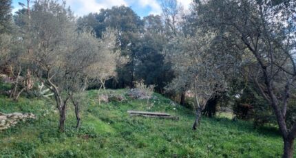 Camps-la-Source Terrain à bâtir - 2446958-5922annonce420260304zivA2.jpeg Maisons Open