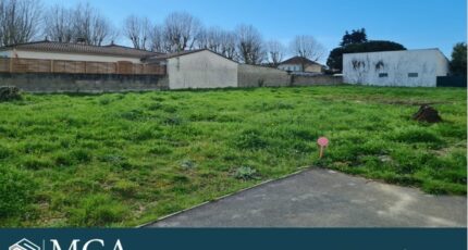 Saint-Augustin Terrain à bâtir - 2451148-11784annonce120260309Ob4Tw.jpeg Maisons Open