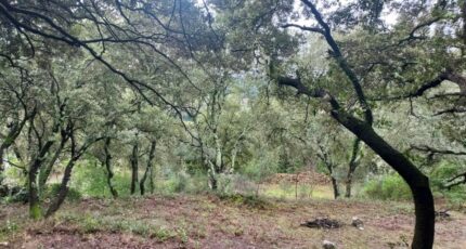 Sainte-Anastasie-sur-Issole Terrain à bâtir - 2451396-11137annonce120260309AiyXa.jpeg Maisons Open