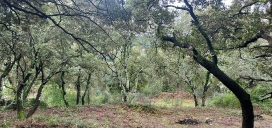 Terrain à bâtir à Sainte-Anastasie-sur-Issole, Provence-Alpes-Côte d'Azur
