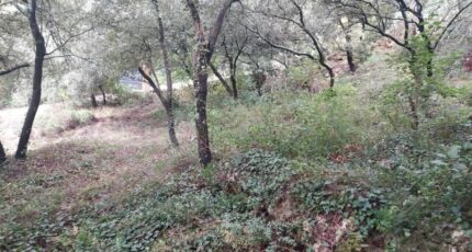 Sainte-Anastasie-sur-Issole Terrain à bâtir - 2451396-11137annonce3202603094ze1D.jpeg Maisons Open