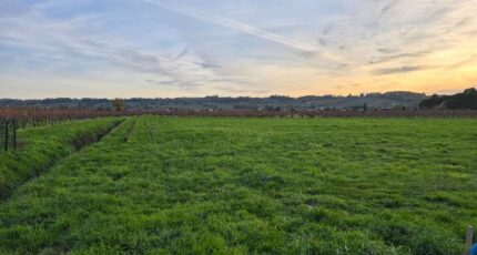 Saint-Laurent-des-Vignes Terrain à bâtir - 2408358-7107annonce120260127MKhhJ.jpeg Maisons Open