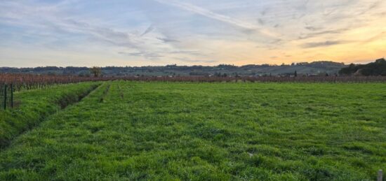 Terrain à bâtir à Saint-Laurent-des-Vignes, Nouvelle-Aquitaine