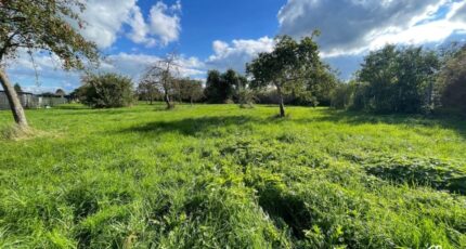 Berlaimont Terrain à bâtir - 2412676-11021annonce120260130KsnZh.jpeg Maisons Open